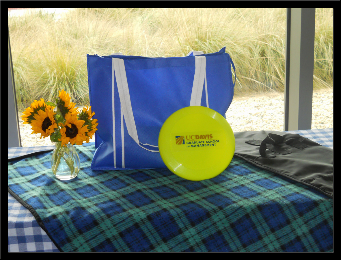Picnic Basket