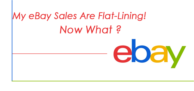 My eBay Sales is Flat Lining ! Now What ?