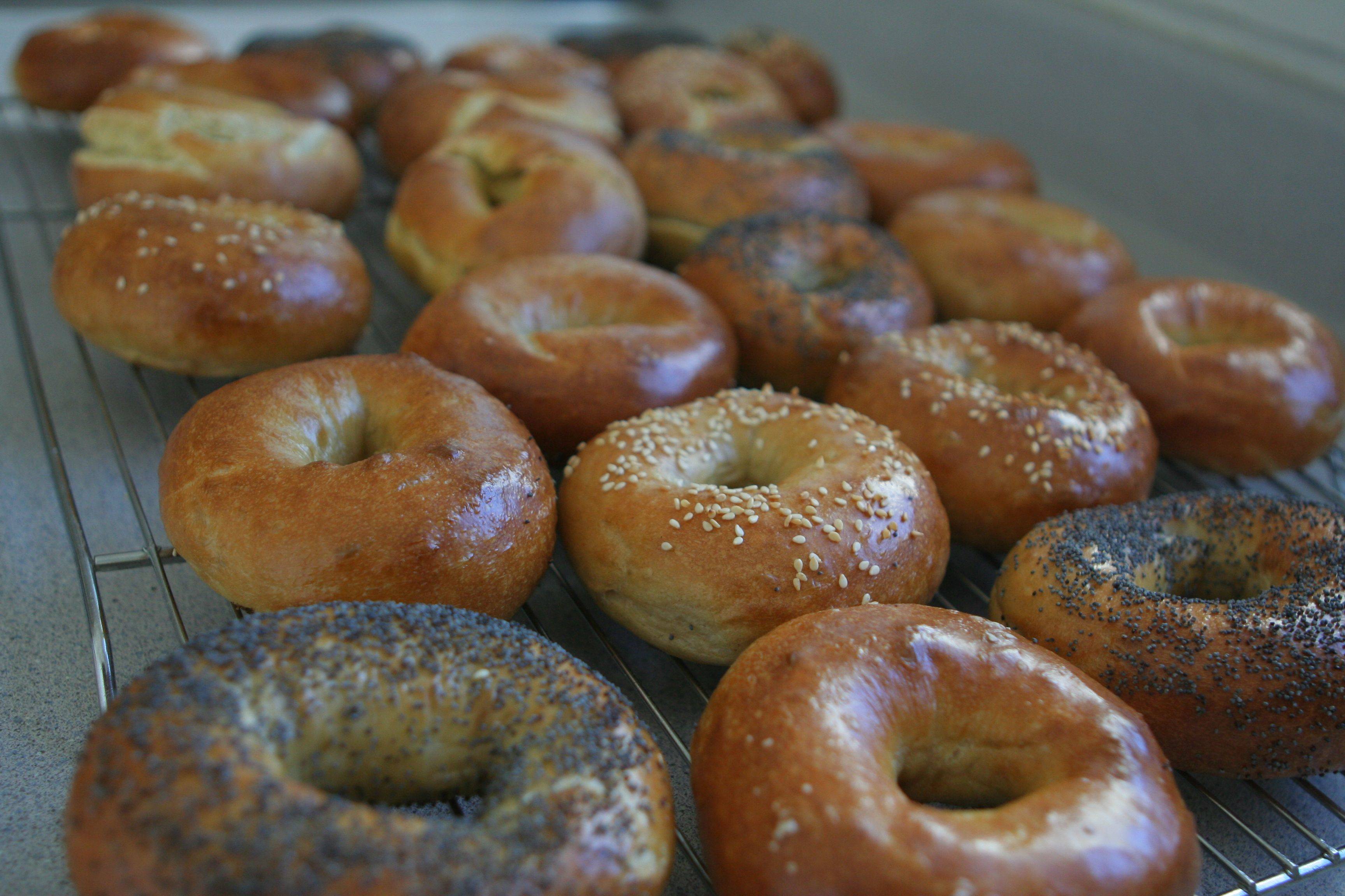 Bagels Pics