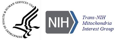 DHHS NIH MIG Logo
