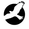 Birds Birds