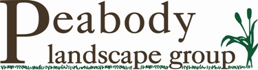 Official Peabody logo